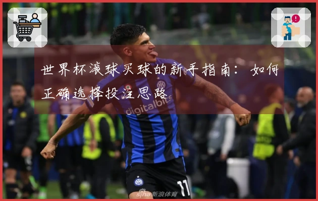 世界杯滚球买球的新手指南：如何正确选择投注思路