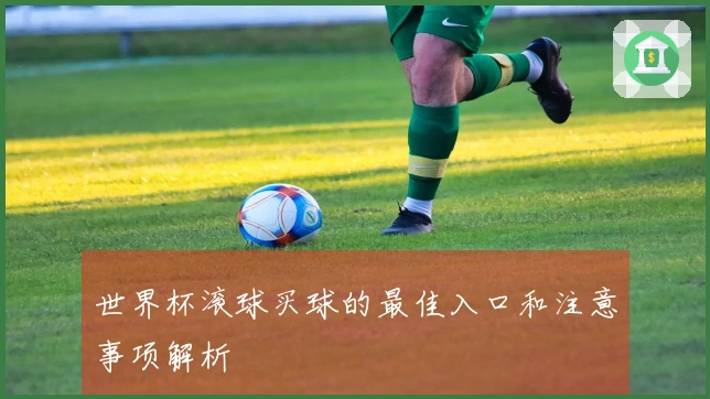 世界杯滚球买球的最佳入口和注意事项解析
