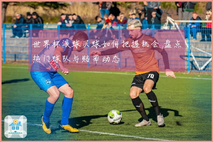 世界杯滚球买球如何把握机会 盘点热门球队与赔率动态